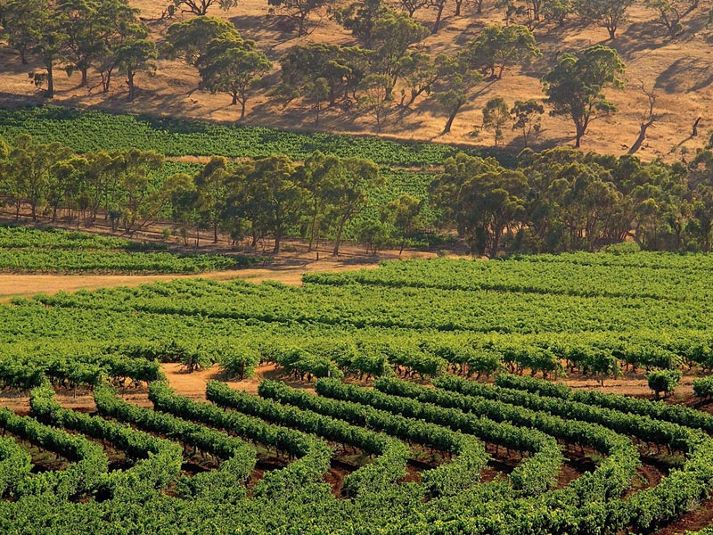 Clare Valley route