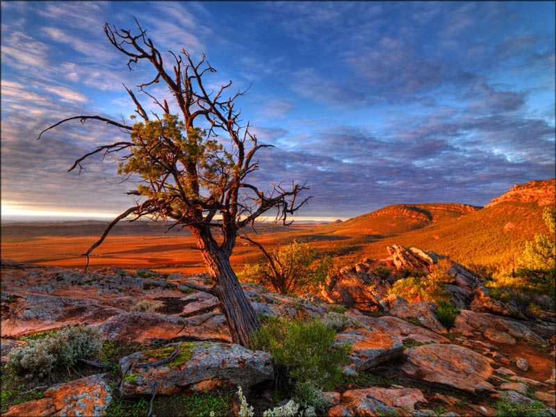 Flinders Ranges South Australia