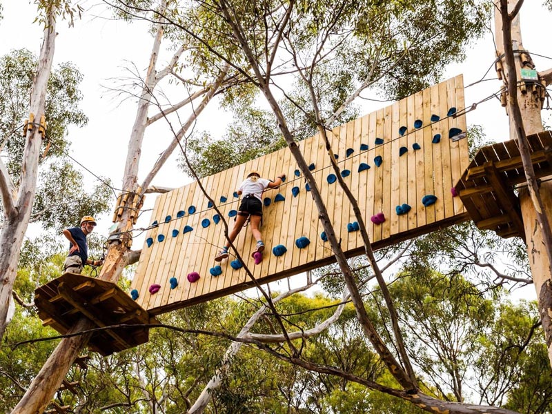 TreeClimb Adelaide Activities