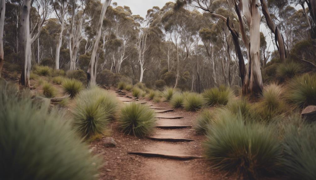 long distance hike in adelaide